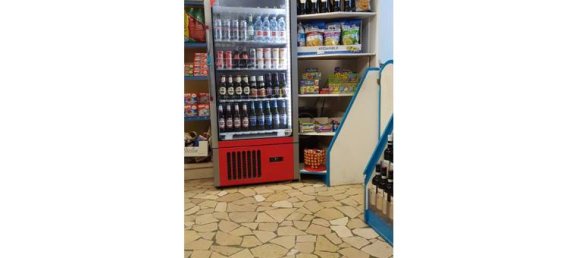 Propiedad comercial de 1 habitación en Pietrasanta, Italy No. 252770 3