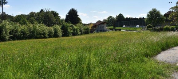 قطعة أرض في Lassnitzhohe, Austria رقم 239579 13