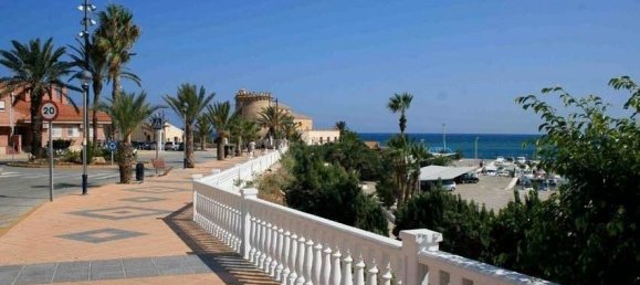 3 bedrooms Villa in Pilar de la Horadada, Spain No. 6025 21