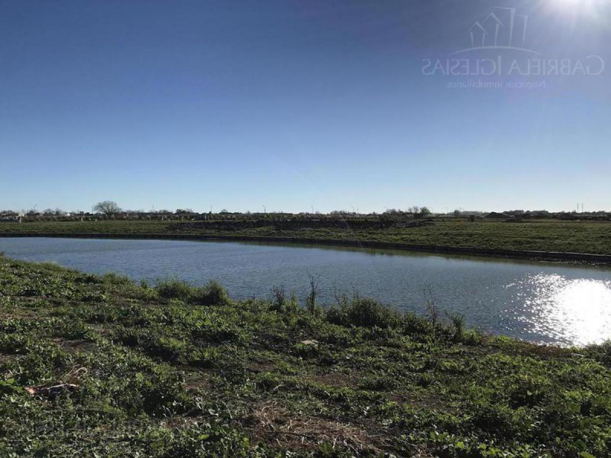  قطعة أرض في Tigre, Argentina رقم 38208