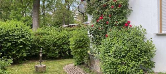 1 bedroom Bungalow in Nordsachsen, Germany No. 319909 18