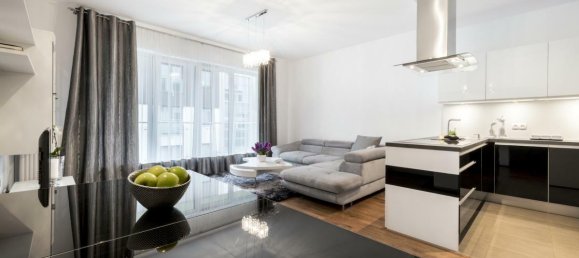 1 chambre Appartement à Saint-Laurent-du-Var, France No. 345899 4