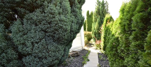 7 rooms House in Enzkreis, Germany No. 68496 4