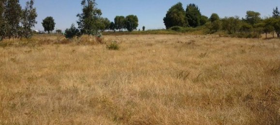 قطعة أرض في Biobio, Chile رقم 727 2