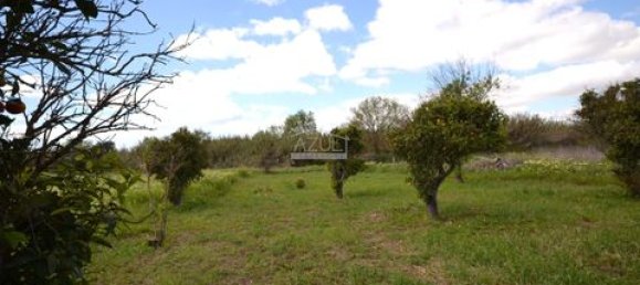 2 Schlafzimmer Villa in Loule, Portugal, Nr. 150112 38