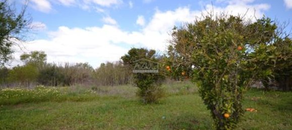 2 Schlafzimmer Villa in Loule, Portugal, Nr. 150112 39