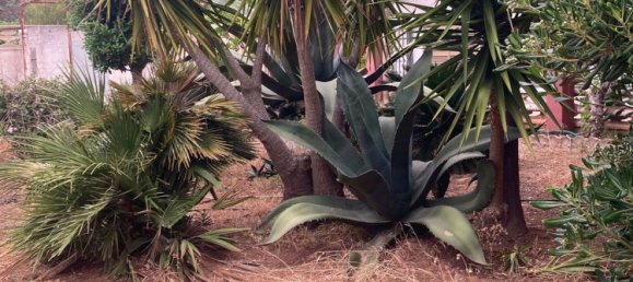 11-Zimmer Villa in Manduria, Italy, Nr. 30816 21