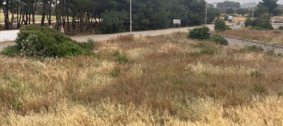 11-Zimmer Villa in Manduria, Italy, Nr. 30816 8