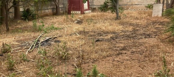 11-Zimmer Villa in Manduria, Italy, Nr. 30816 22