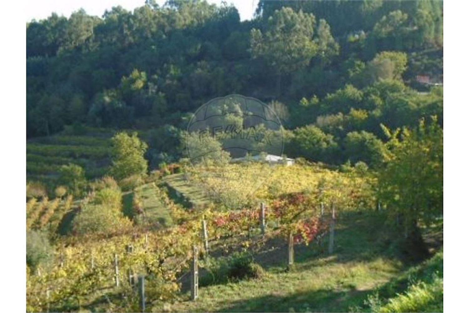 Дом с 1 спальней в Азиаш, Португалия № 58554