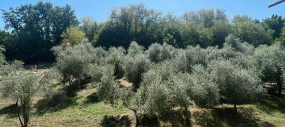 3 rooms Apartment in Atripalda, Italy No. 88413 10