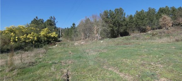 9656m² Land in Ferreirim, Portugal No. 90500 4
