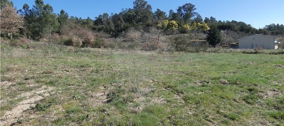 9656m² Land in Ferreirim, Portugal No. 90500 2