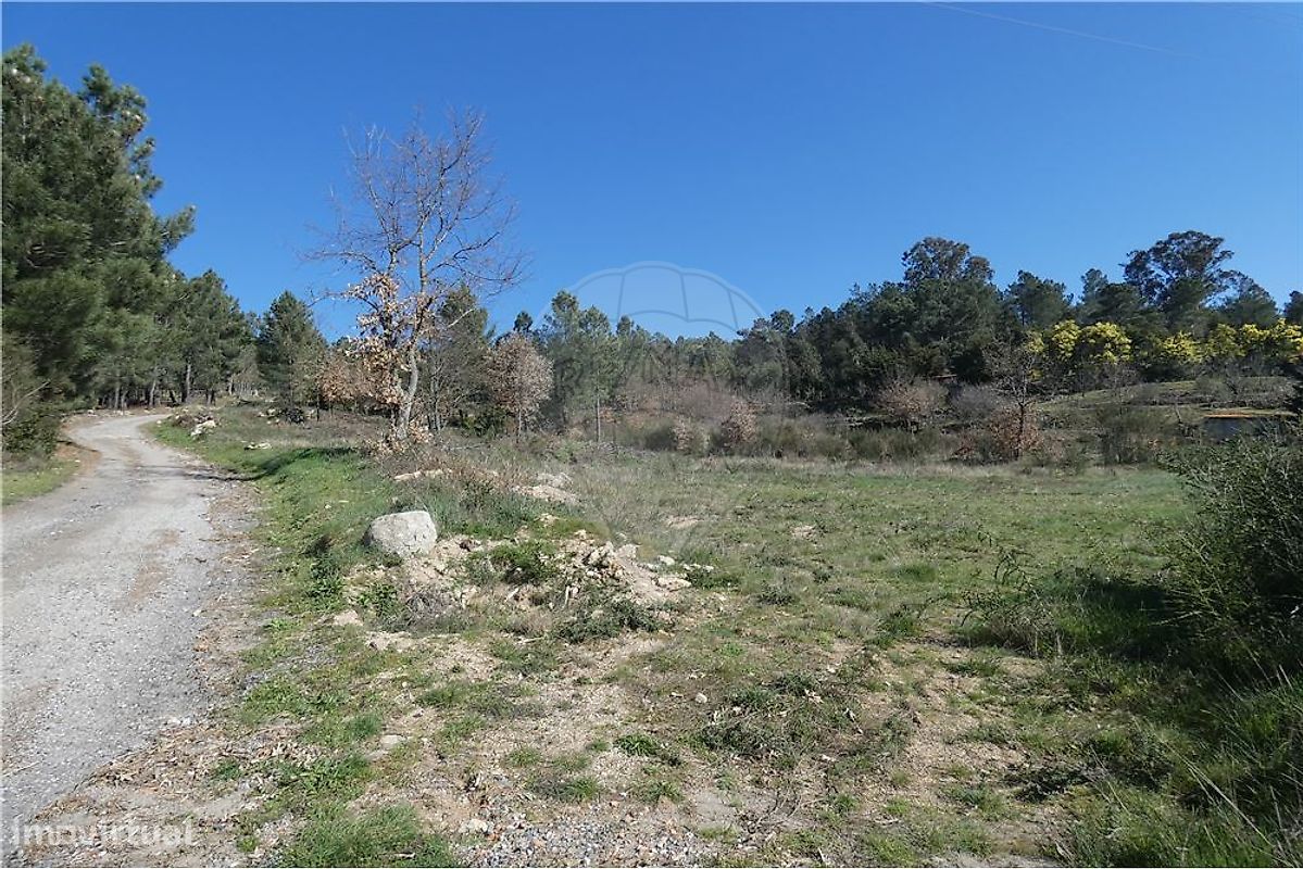 9656m² Land in Ferreirim, Portugal No. 90500