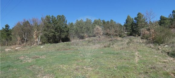 9656m² Land in Ferreirim, Portugal No. 90500 3