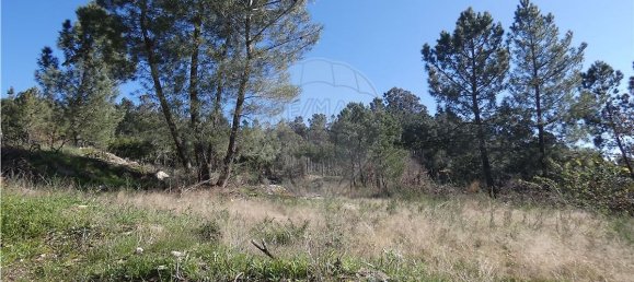 9656m² Land in Ferreirim, Portugal No. 90500 5