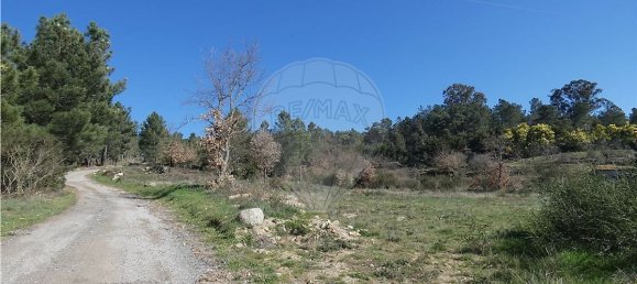 9656m² Land in Ferreirim, Portugal No. 90500 7