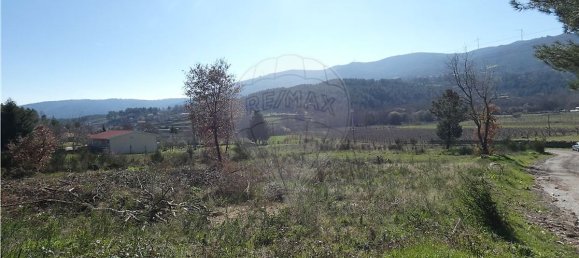 9656m² Land in Ferreirim, Portugal No. 90500 6