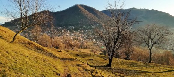 14 rooms House in Centro Valle Intelvi, Italy No. 138272 2