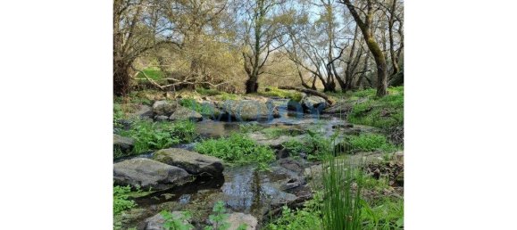 4 bedrooms House in Montemor o Novo, Portugal No. 15065 45