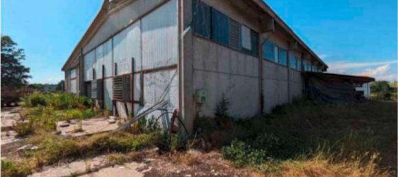 Дом с 15 комнатами в Фраскаро, Италия № 209412 4