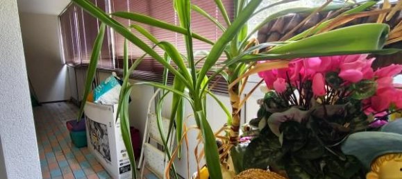 Apartamento de 1 dormitorio en Neuilly-sur-Marne, France No. 174957 11