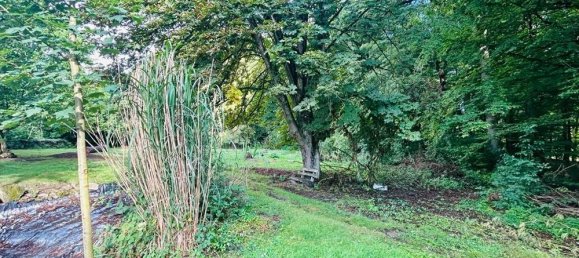 Hotel em Lippe, Germany 1700 m² N.º 270265 12