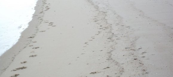 1 Schlafzimmer Wohnung in Grandola, Portugal, Nr. 119936 12