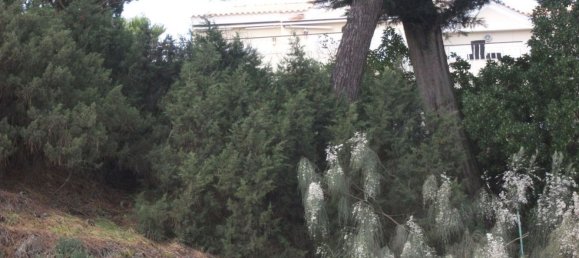 1 Schlafzimmer Wohnung in Grandola, Portugal, Nr. 119936 10