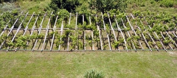 4 bedrooms Villa in Chalkidiki, Greece No. 7404 11