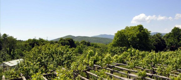 4 bedrooms Villa in Chalkidiki, Greece No. 7404 8