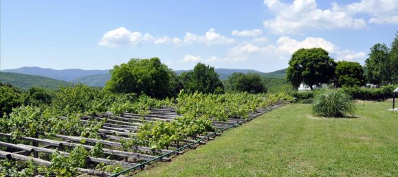 4 bedrooms Villa in Chalkidiki, Greece No. 7404 7