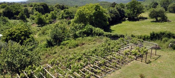 4 bedrooms Villa in Chalkidiki, Greece No. 7404 12