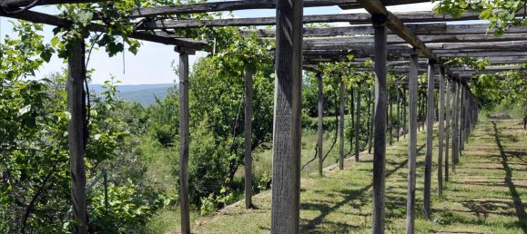 4 bedrooms Villa in Chalkidiki, Greece No. 7404 10