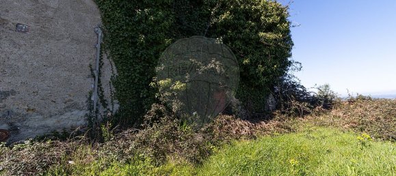 1 غرف نوم منزل في Pombeiro da Beira, Portugal رقم 16597 18