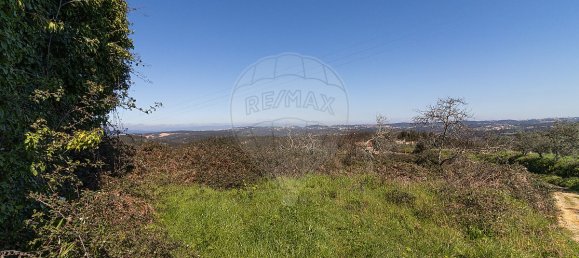 1 غرف نوم منزل في Pombeiro da Beira, Portugal رقم 16597 17