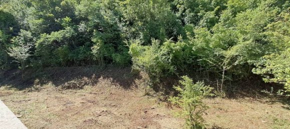 6 bedrooms House in Castelliri, Italy No. 265219 26