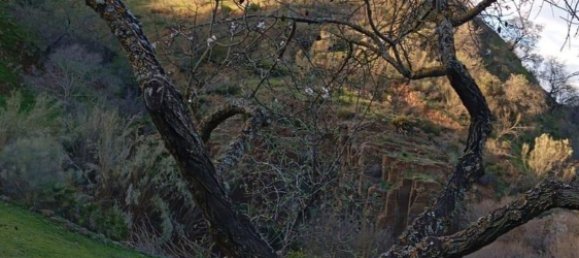 3 bedrooms House in Ardales, Spain No. 154662 2