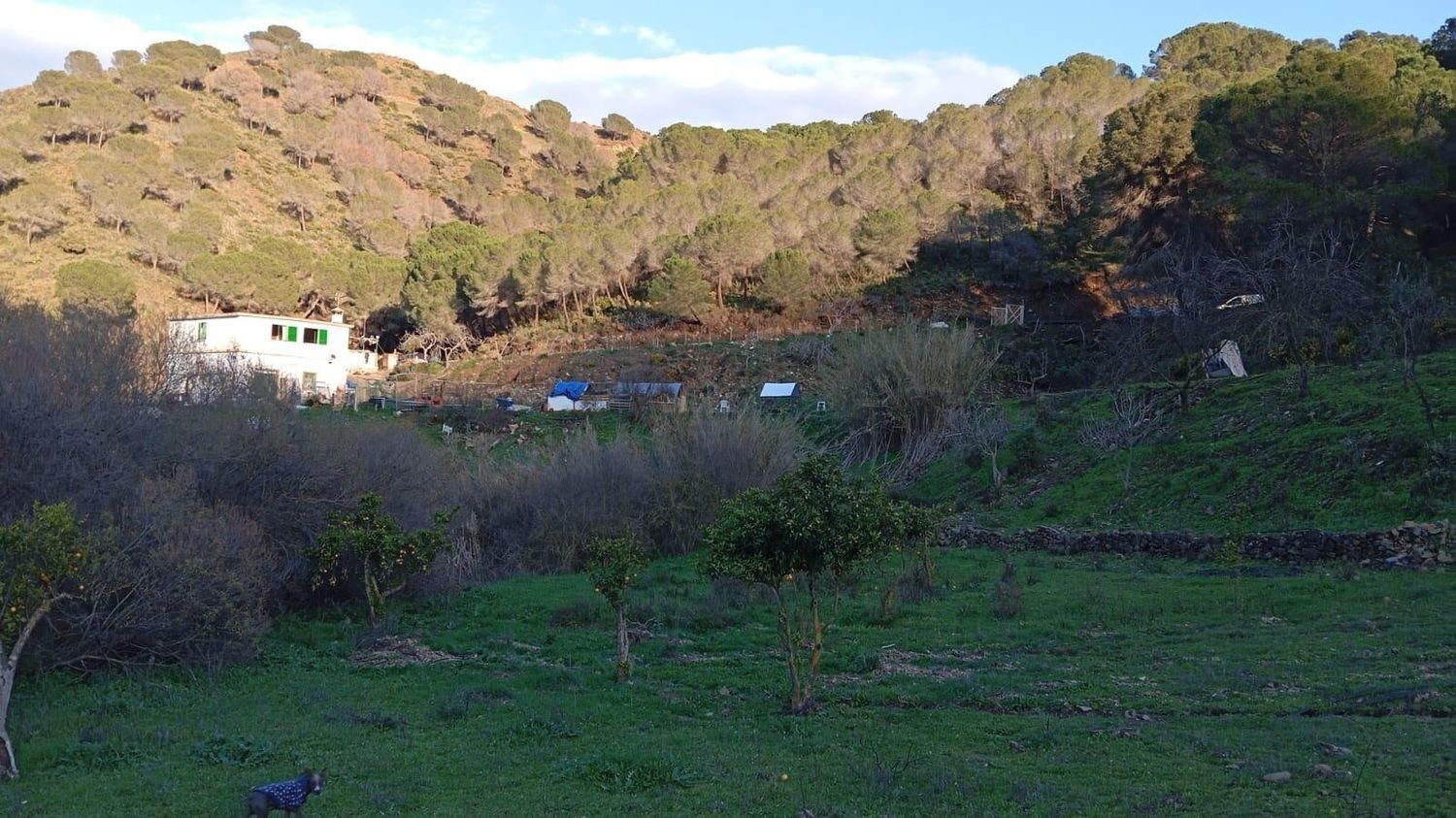 3 bedrooms House in Ardales, Spain No. 154662