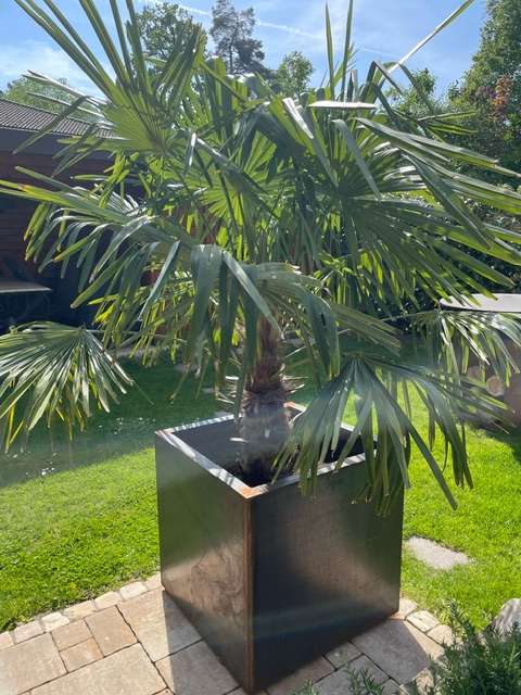 Terreno em Furstenfeldbruck, Germany N.º 130452