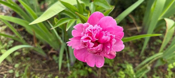 استوديو في Bocksdorf, Austria رقم 146881 31