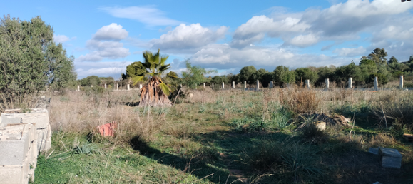 Grundstück in Quartu Sant'Elena, Italy 3180m², Nr. 281325 2