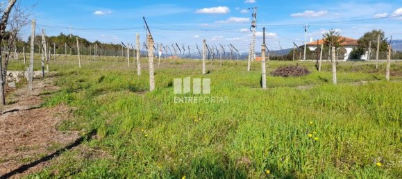 2640m² Land in Amarante, Portugal No. 57441 18