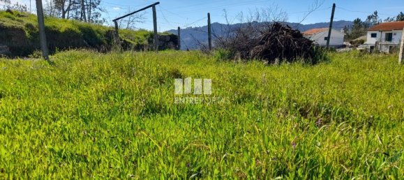 2640m² Land in Amarante, Portugal No. 57441 20