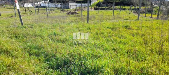 2640m² Land in Amarante, Portugal No. 57441 6