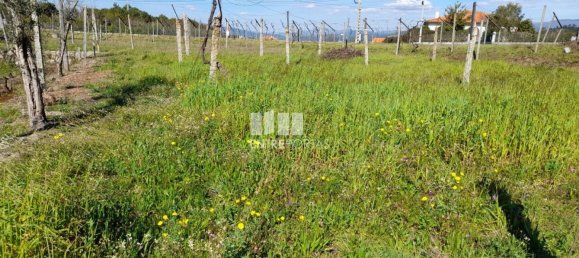 2640m² Land in Amarante, Portugal No. 57441 19