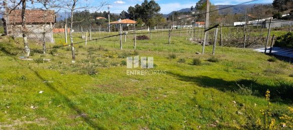 2640m² Land in Amarante, Portugal No. 57441 34