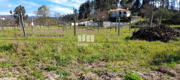 2640m² Land in Amarante, Portugal No. 57441 30