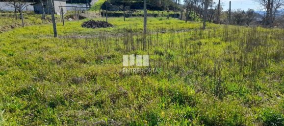 2640m² Land in Amarante, Portugal No. 57441 7