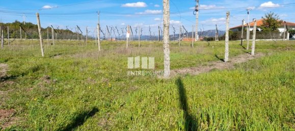 2640m² Land in Amarante, Portugal No. 57441 16